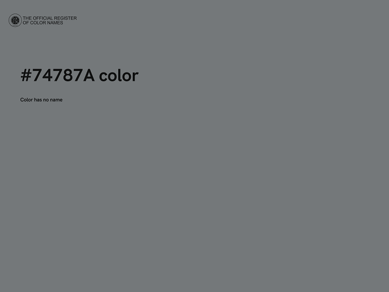 #74787A color image