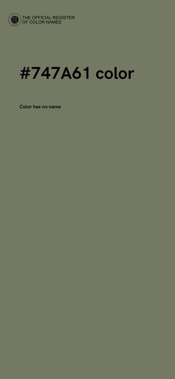 #747A61 color image