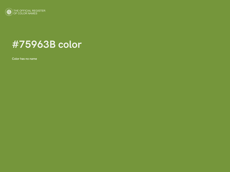 #75963B color image