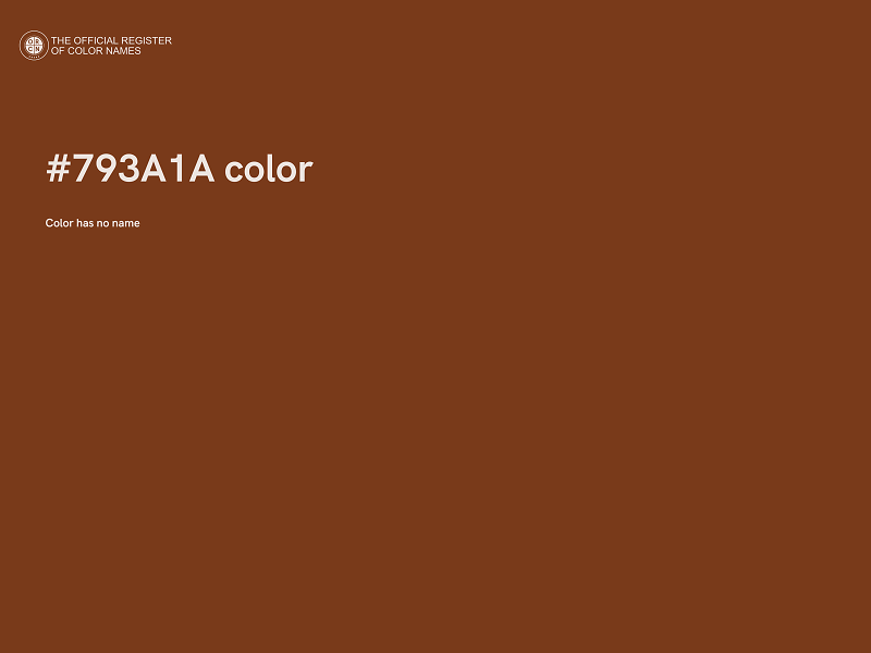 #793A1A color image