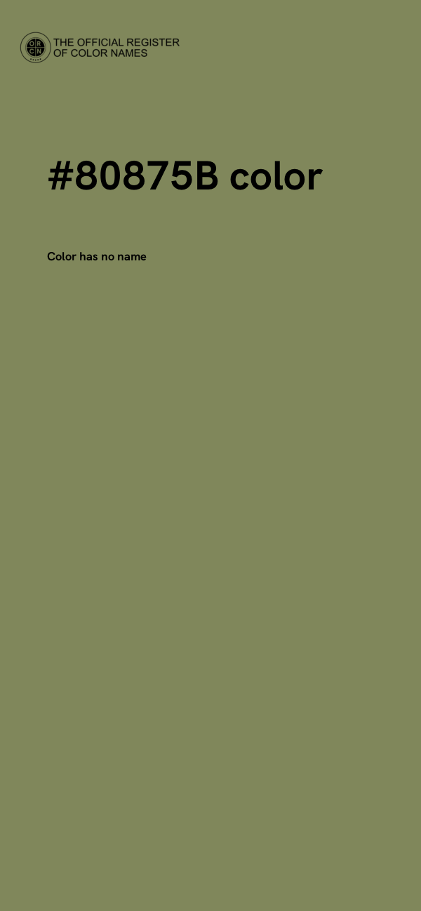#80875B color image
