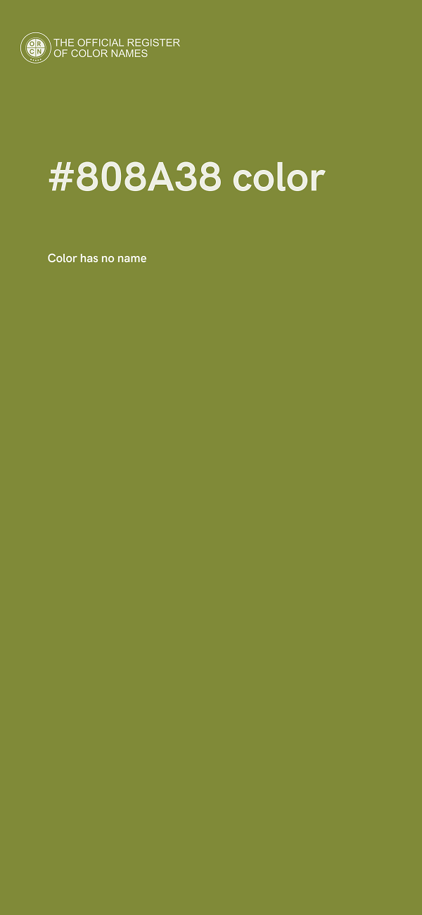 #808A38 color image