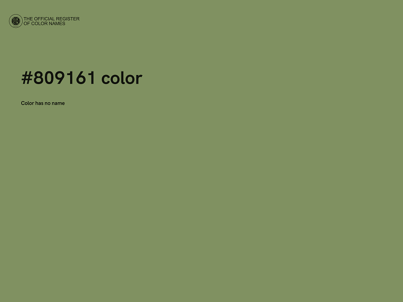 #809161 color image