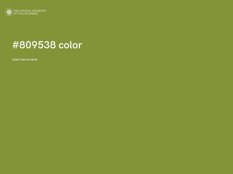 #809538 color image