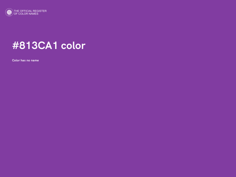 #813CA1 color image