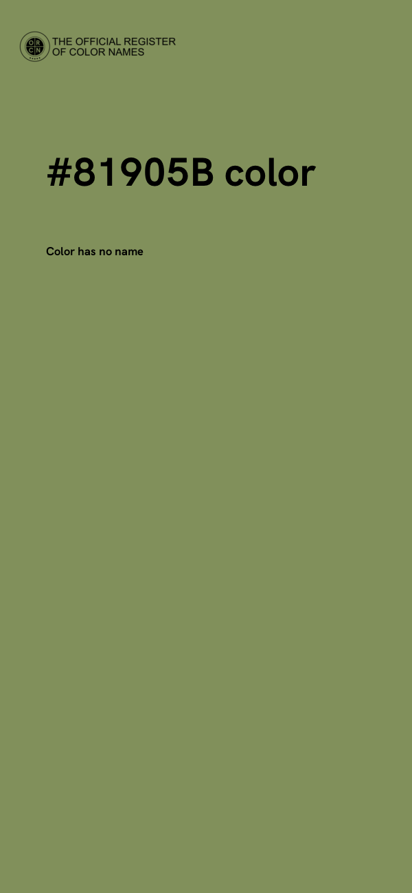 #81905B color image