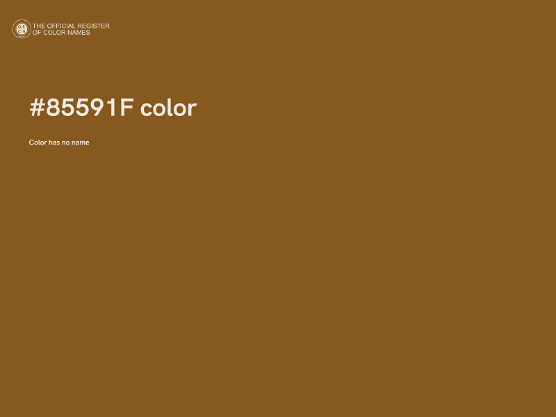 #85591F color image