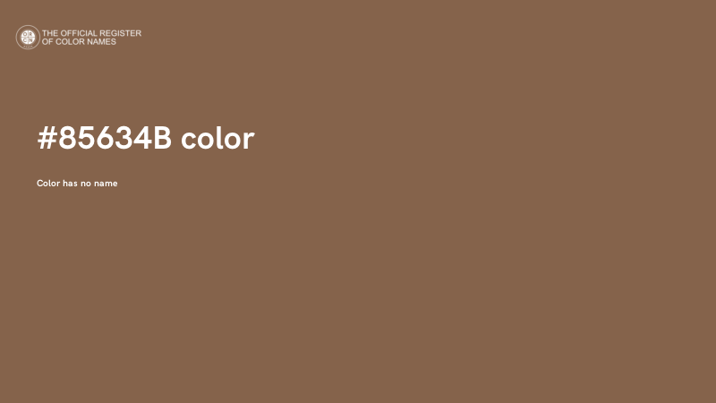#85634B color image
