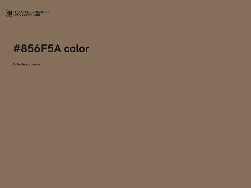 #856F5A color image