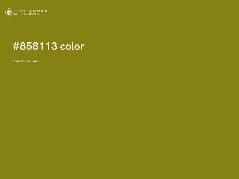 #858113 color image