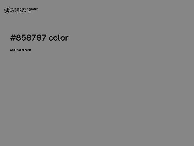 #858787 color image