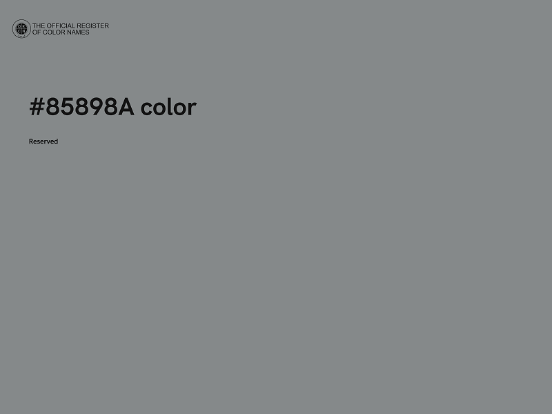 #85898A color image