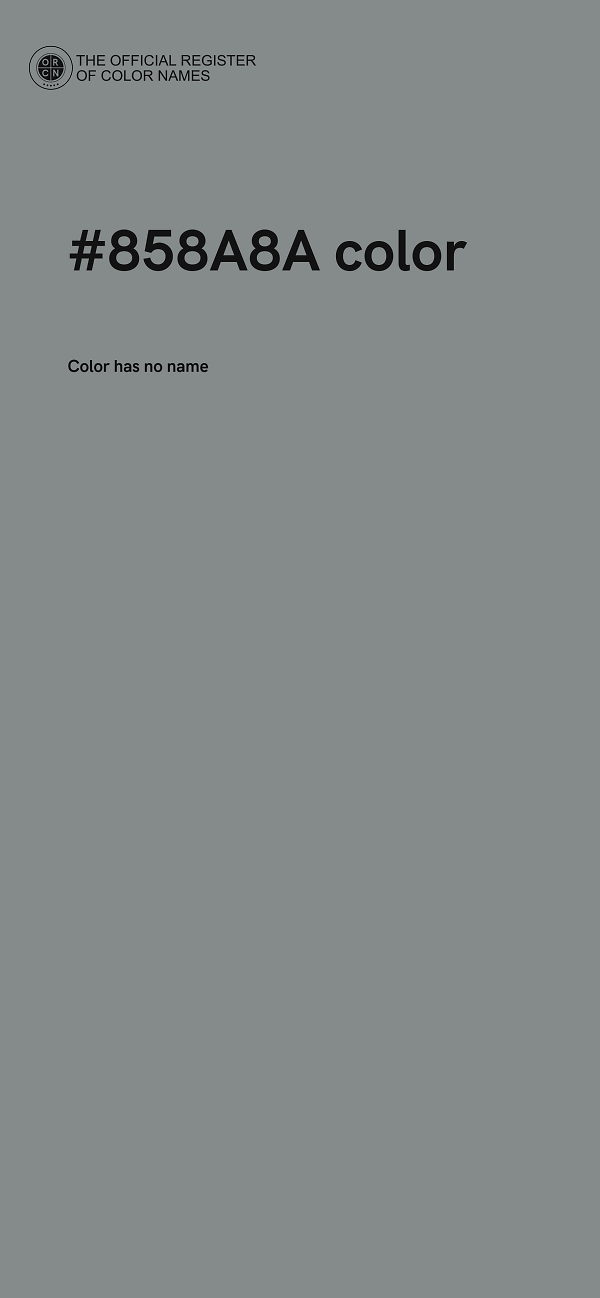 #858A8A color image