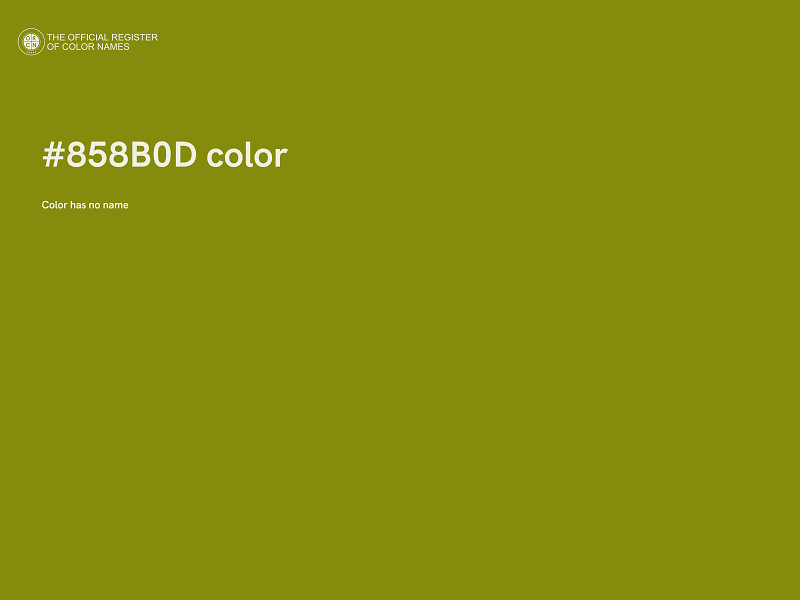 #858B0D color image