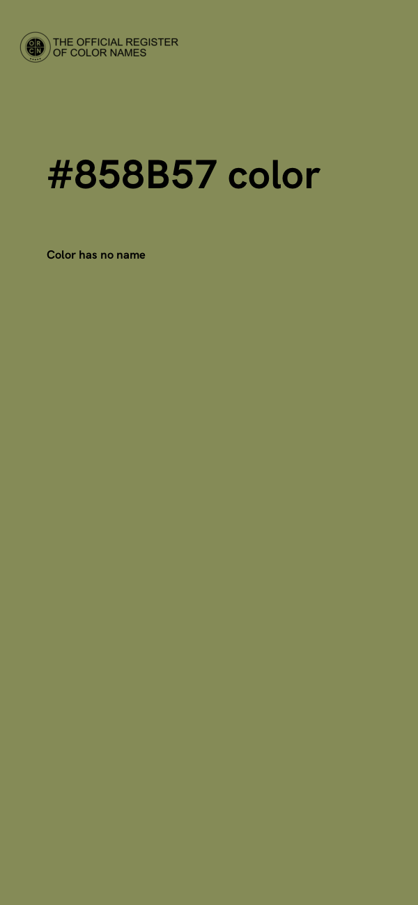 #858B57 color image