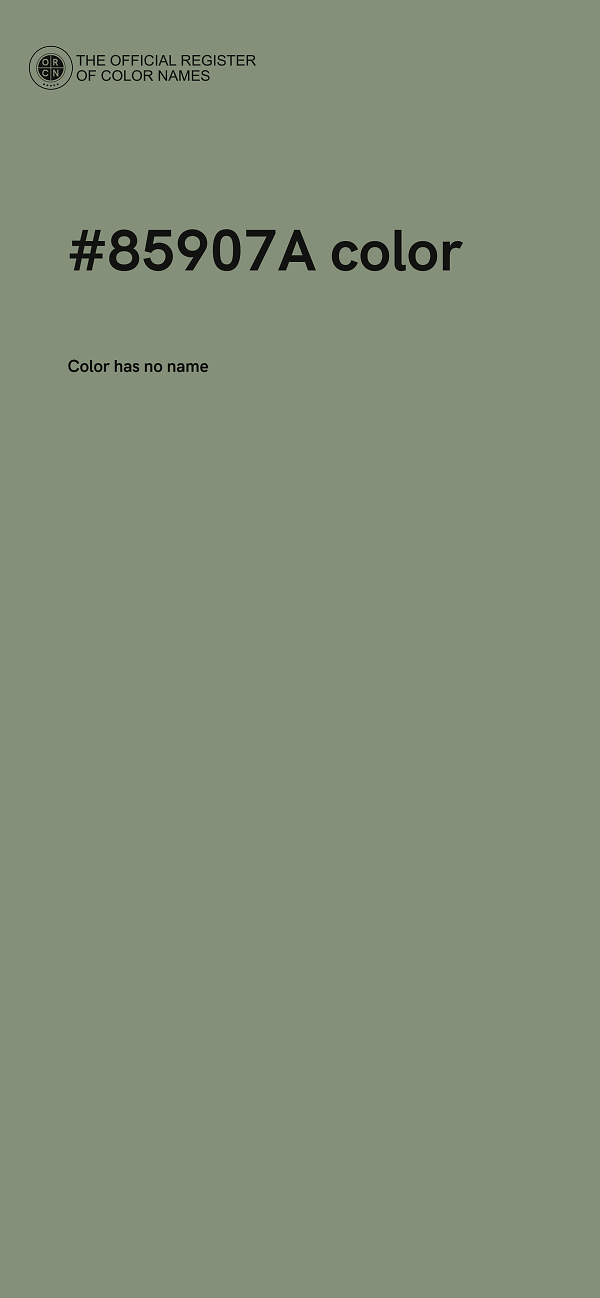 #85907A color image