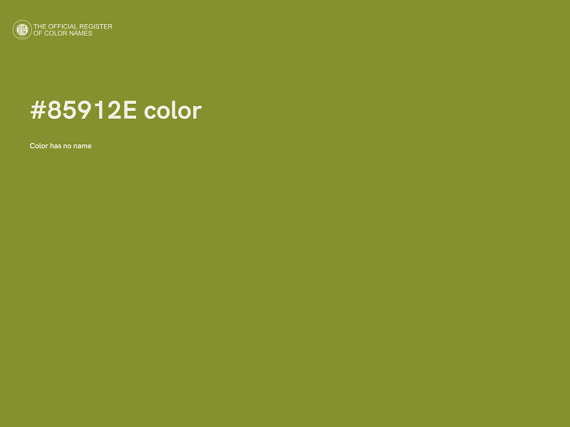 #85912E color image
