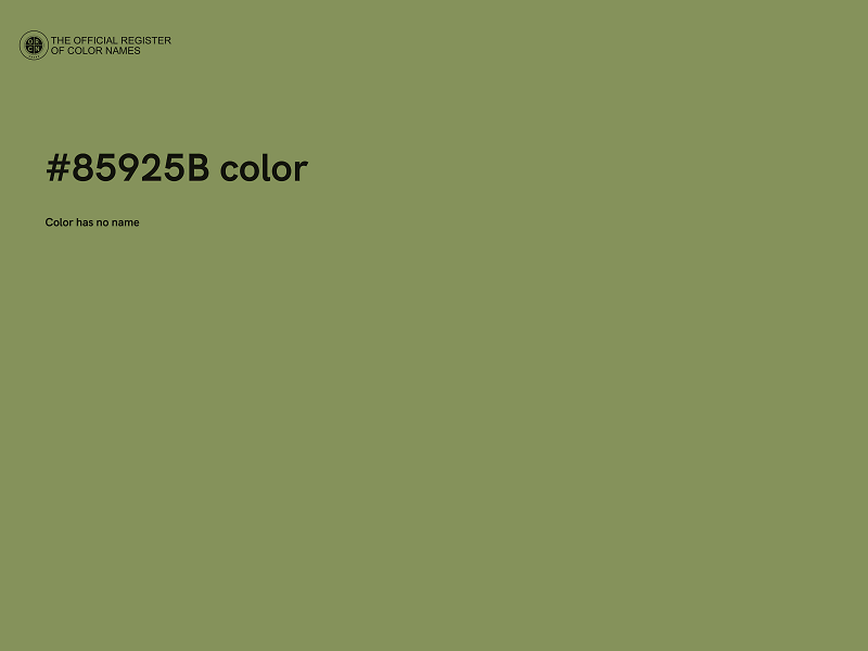 #85925B color image
