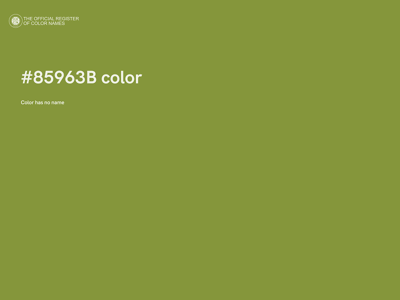 #85963B color image