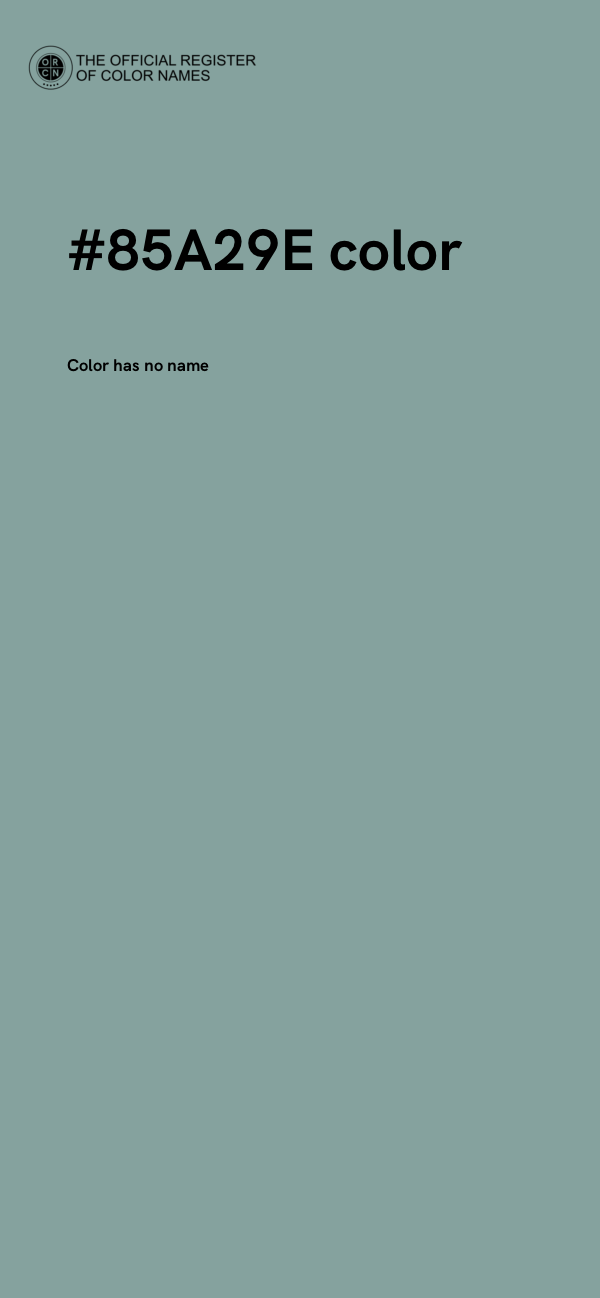 #85A29E color image
