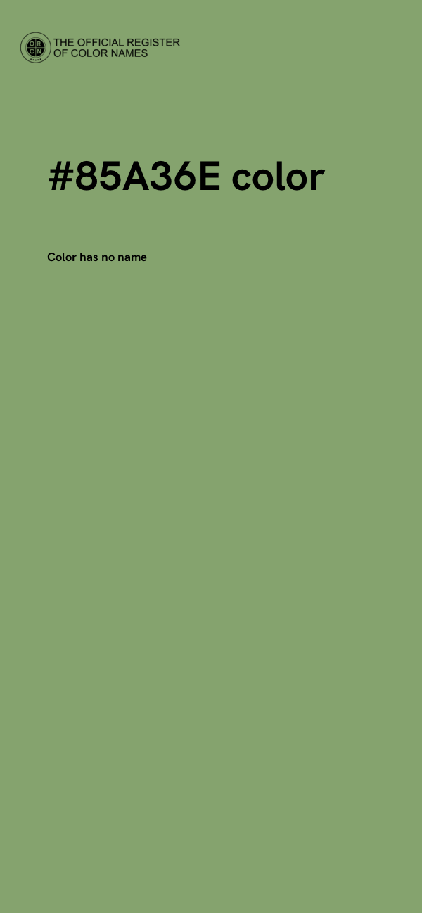 #85A36E color image