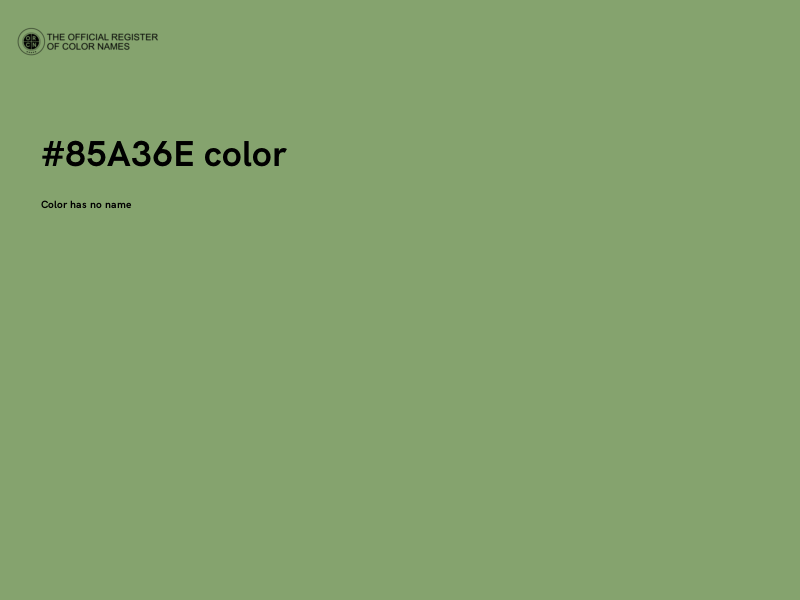 #85A36E color image