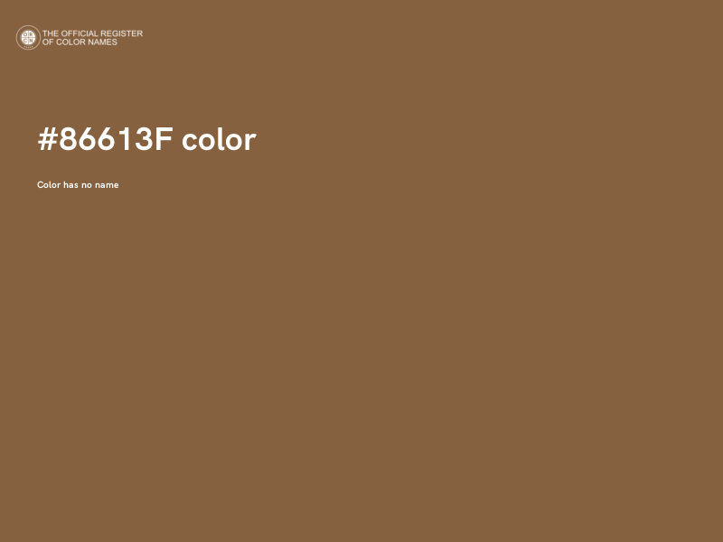#86613F color image
