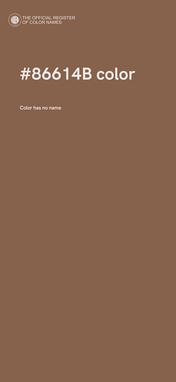 #86614B color image
