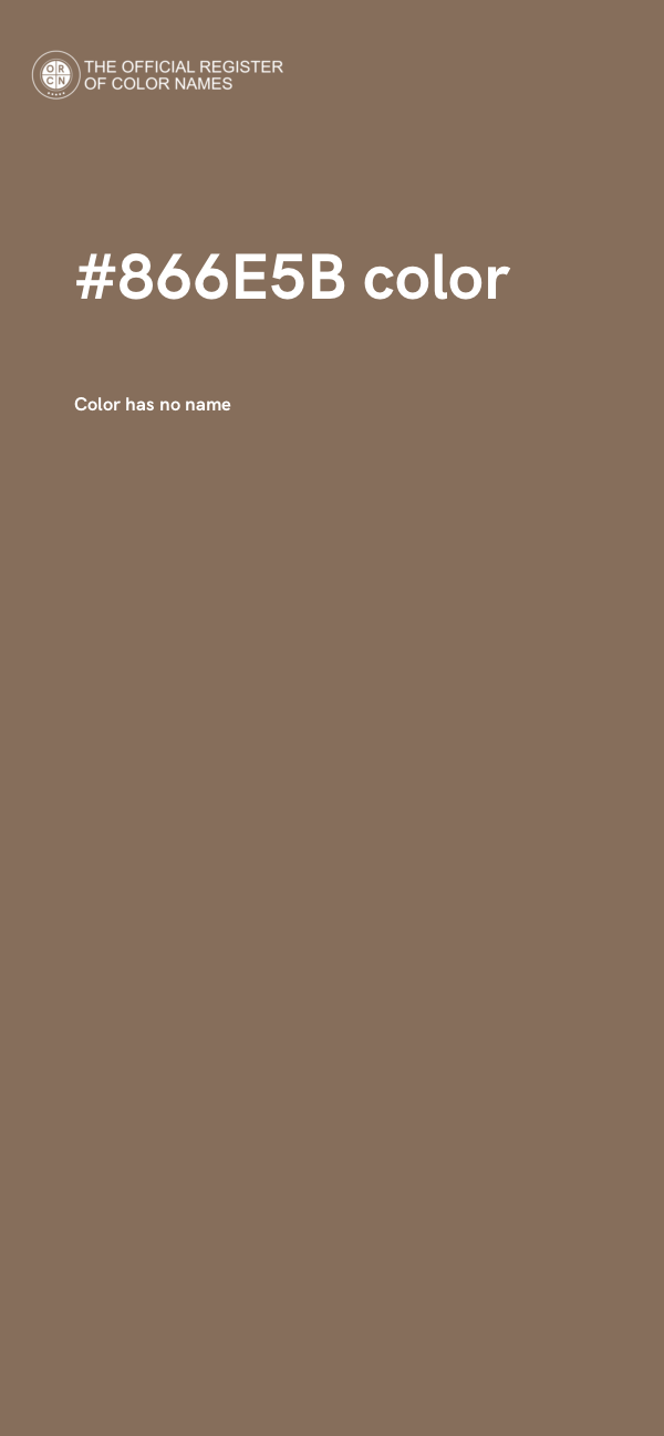#866E5B color image