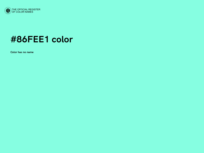 #86FEE1 color image