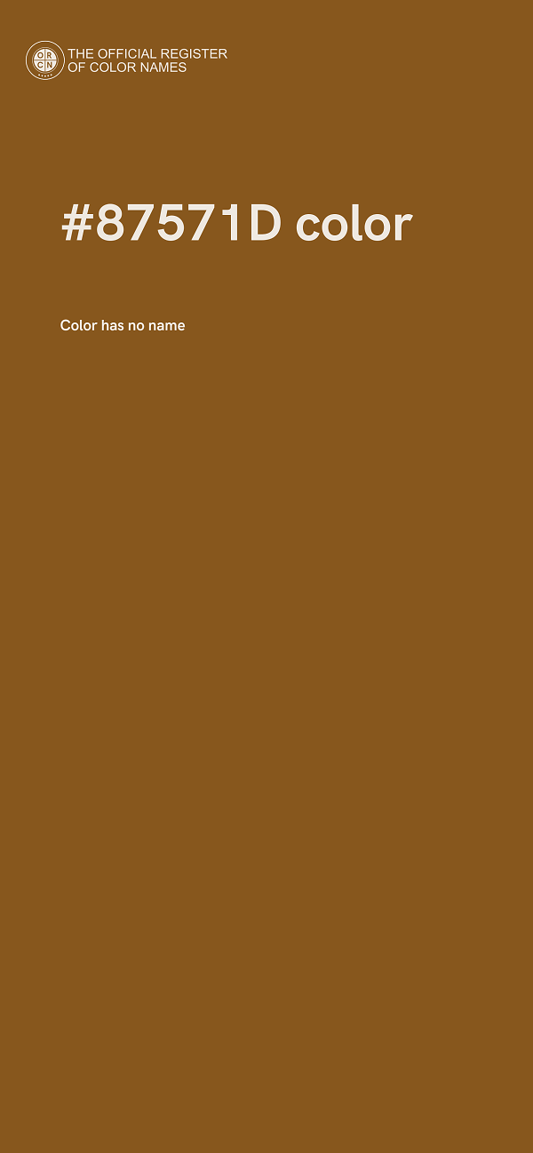 #87571D color image