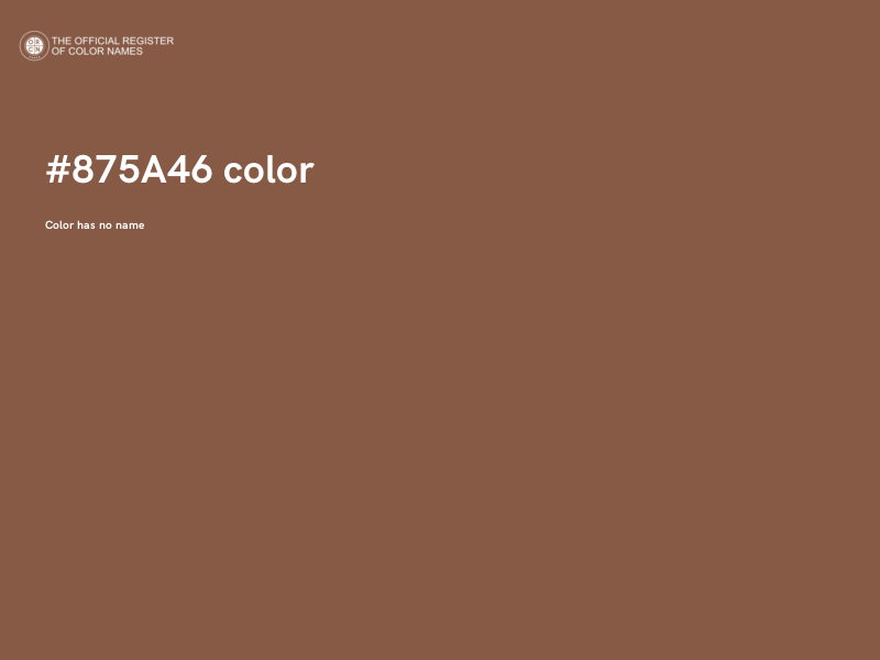 #875A46 color image
