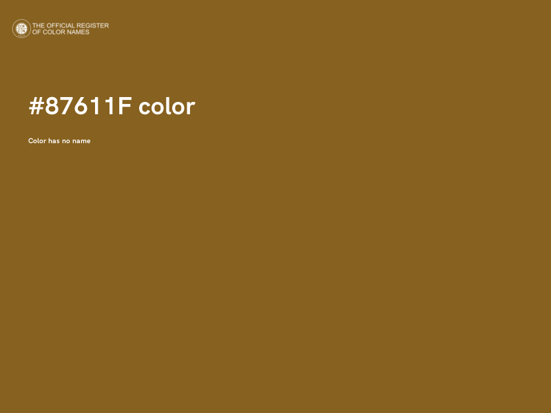 #87611F color image