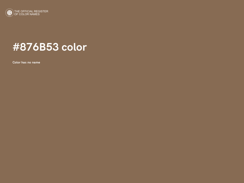 #876B53 color image