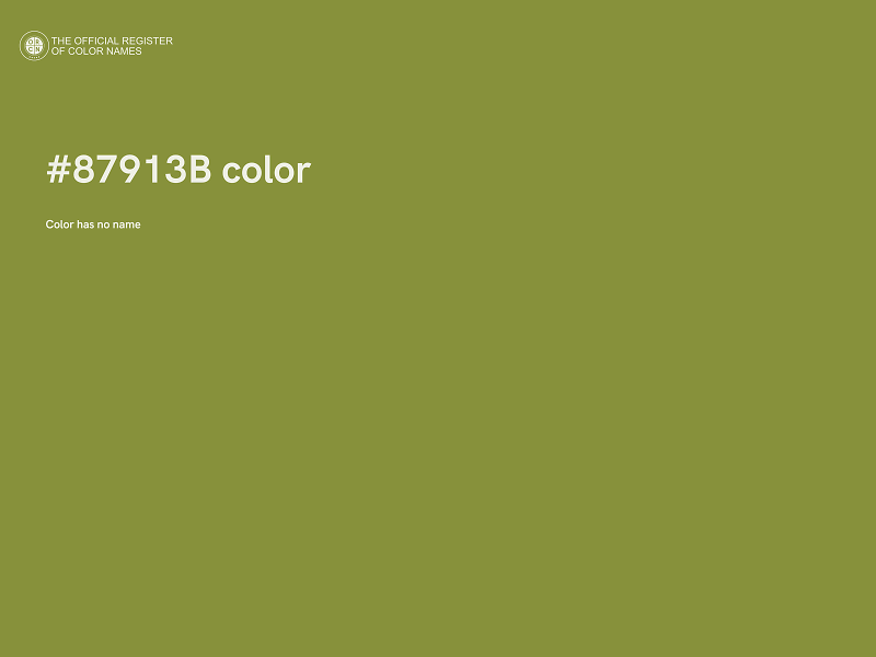 #87913B color image