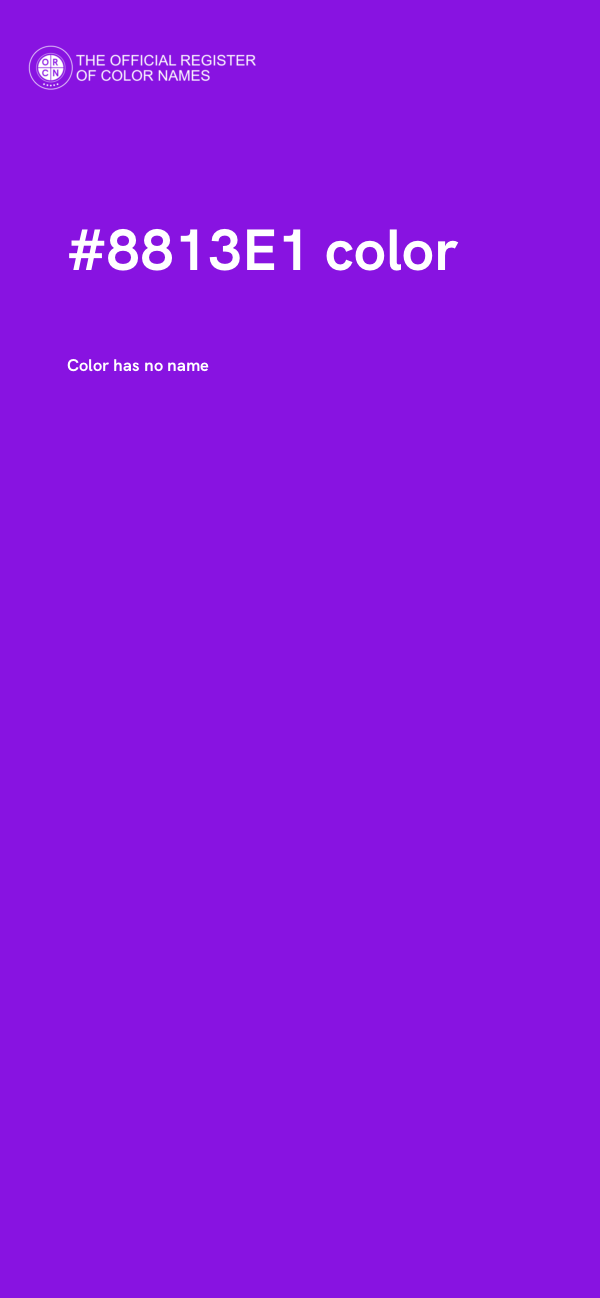 #8813E1 color image