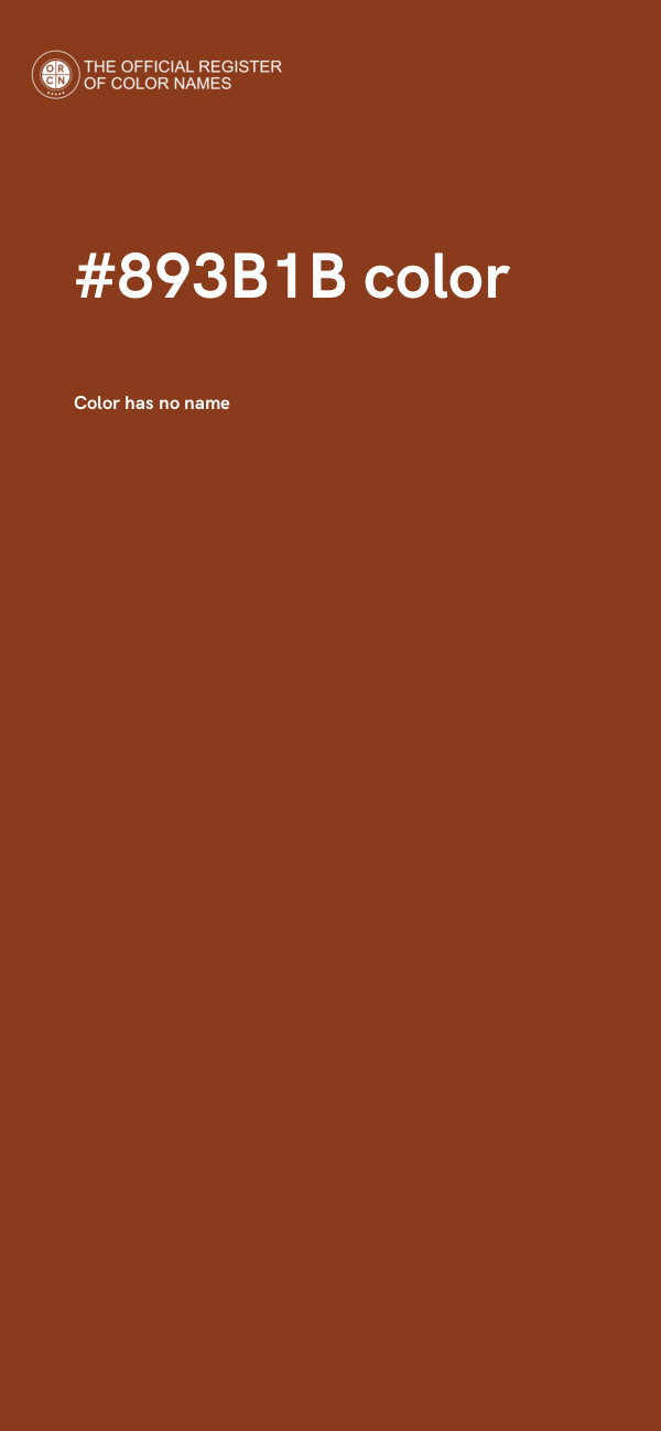 #893B1B color image