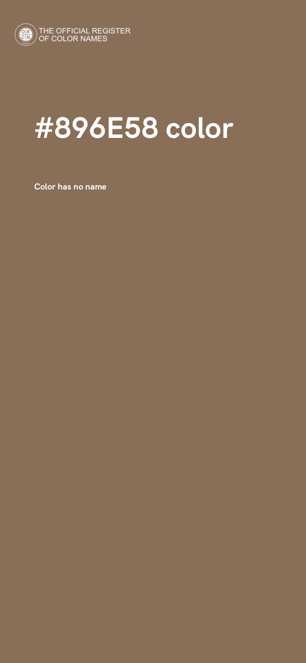#896E58 color image