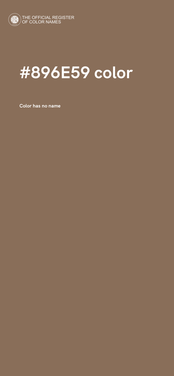 #896E59 color image