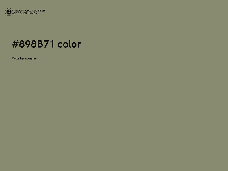 #898B71 color image