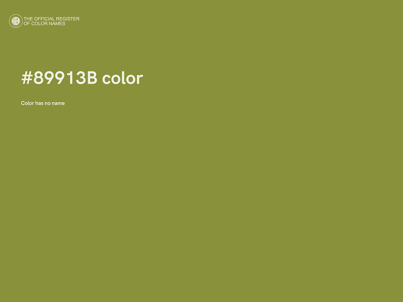 #89913B color image