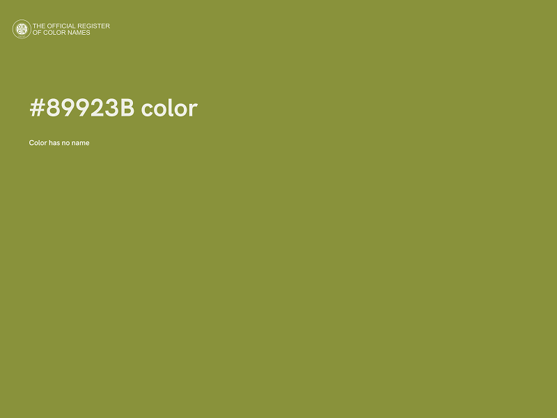 #89923B color image