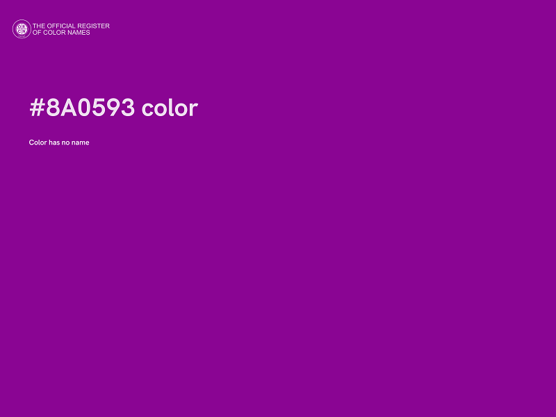 #8A0593 color image