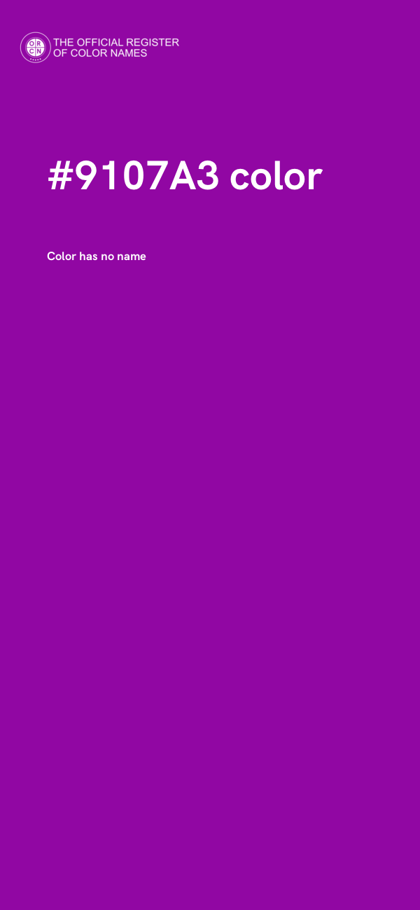 #9107A3 color image
