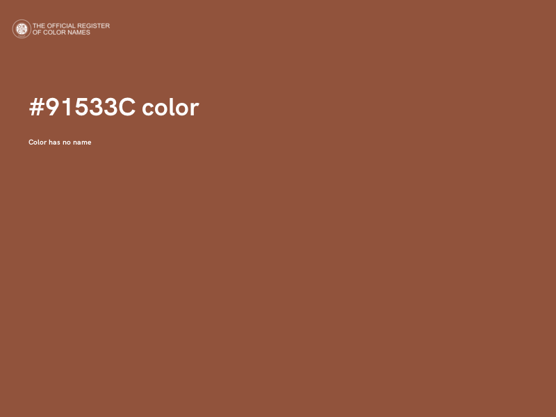 #91533C color image