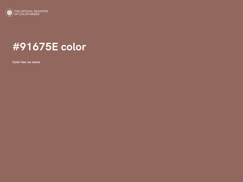 #91675E color image