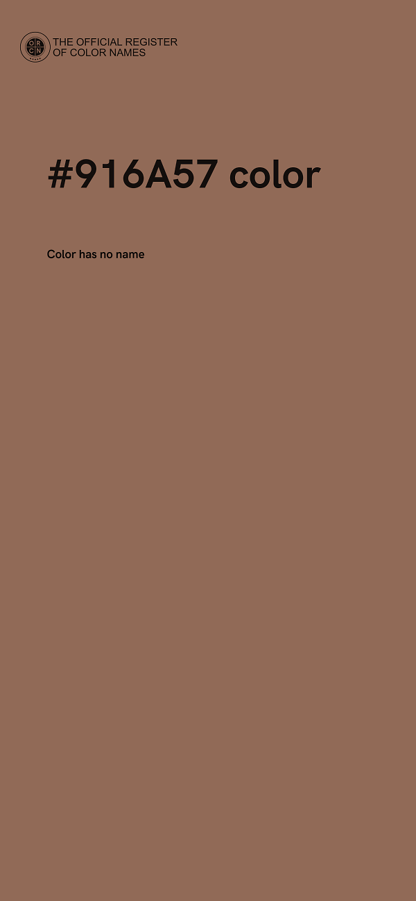 #916A57 color image