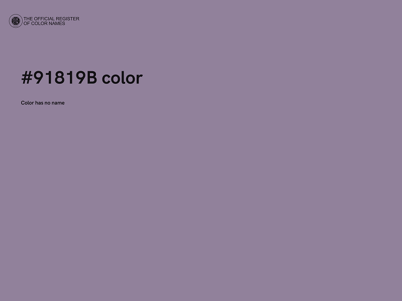 #91819B color image