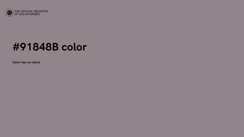 #91848B color image