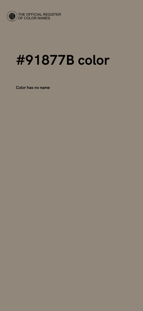 #91877B color image